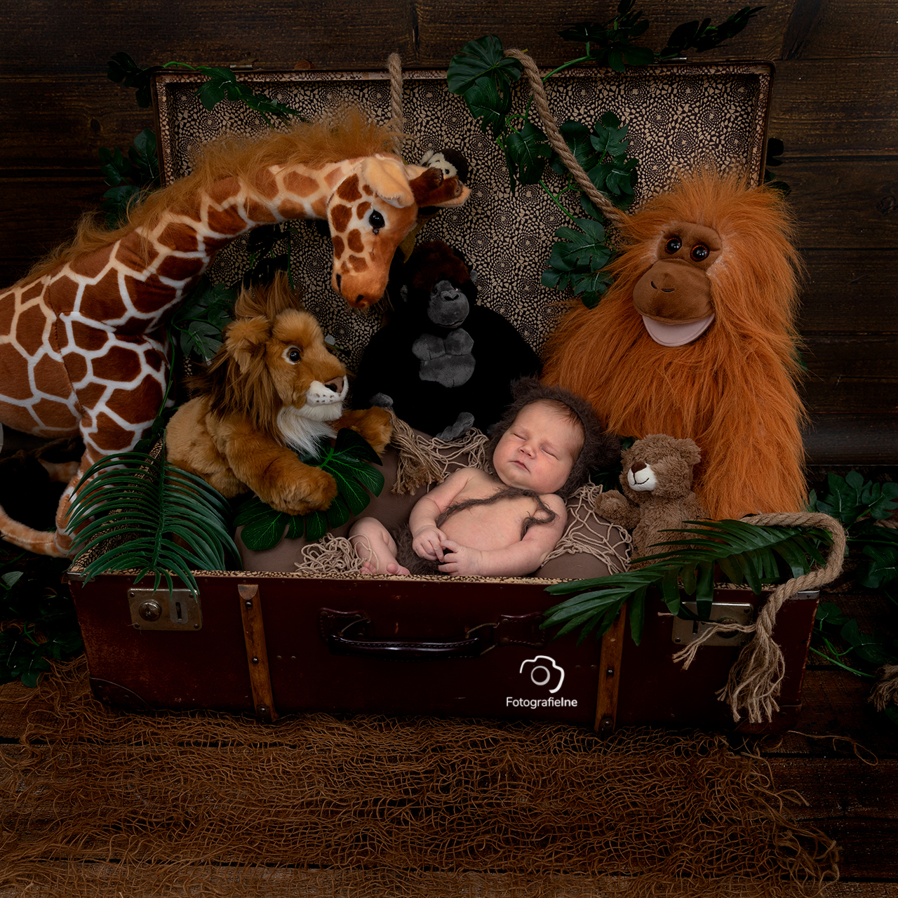 Fotografie-Ine 233A3862 newborn Jungle safari thema giraffe – aap tijger leeuw